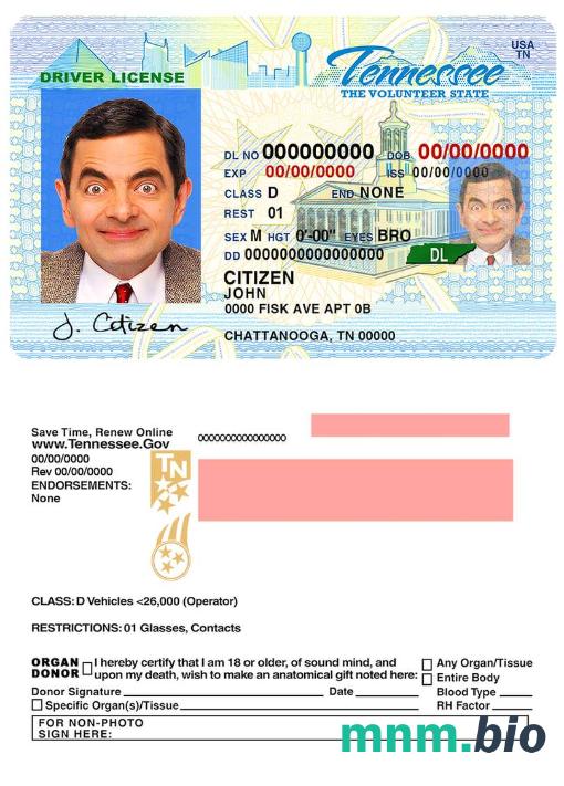 Szablon prawa jazdy USA Tennessee w formacie PSD, ze wszystkimi czcionkami
